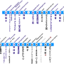 laketown-line-2025.png
